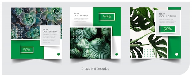 Vector banner plant premium vector