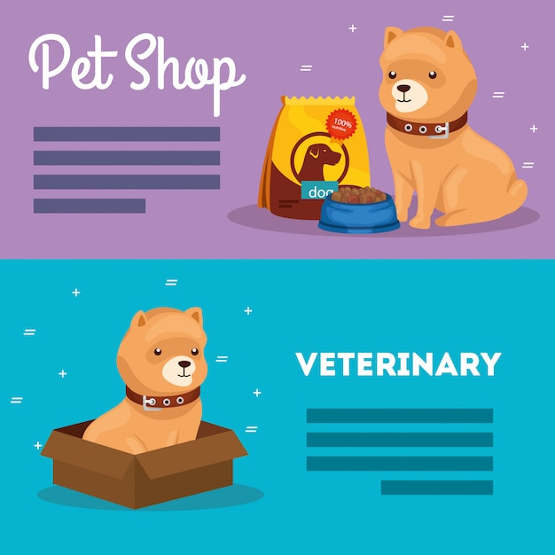 banner set of pet shop veterinary
