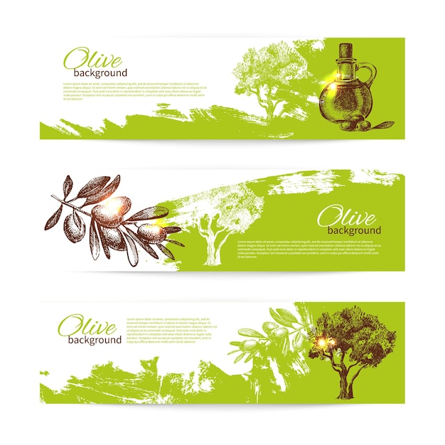 Banner set of vintage olive background splash backgrounds