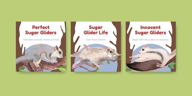 Banner template with adorble sugar gliders concept,watercolor style