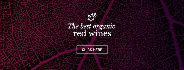 Vettore modello di banner con sfondo texture foglia di vite sfondo vegetale per i disegni del vino