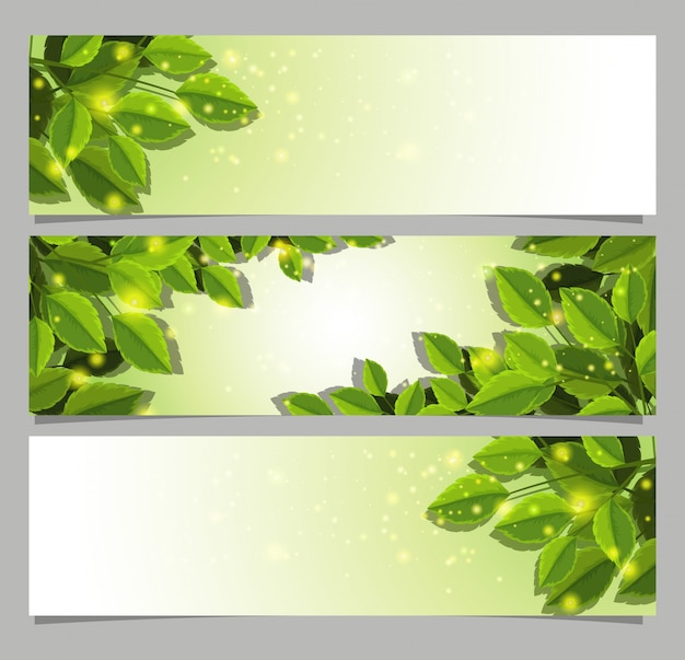 Vector banner templates with green leaves