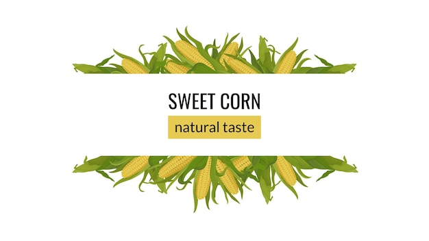 Banner with corn on the cob Organic food natural sweet corn horizontal frame