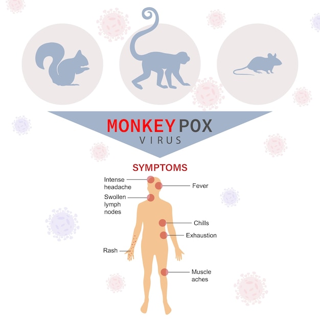 A banner with the monkey pox virus to inform and warn about the symptoms and spread of the monkeypox