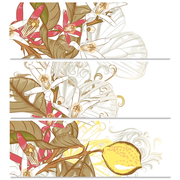 Banners plants sketches 