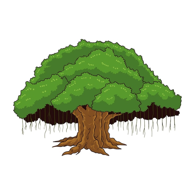 banyan tree vector illustration