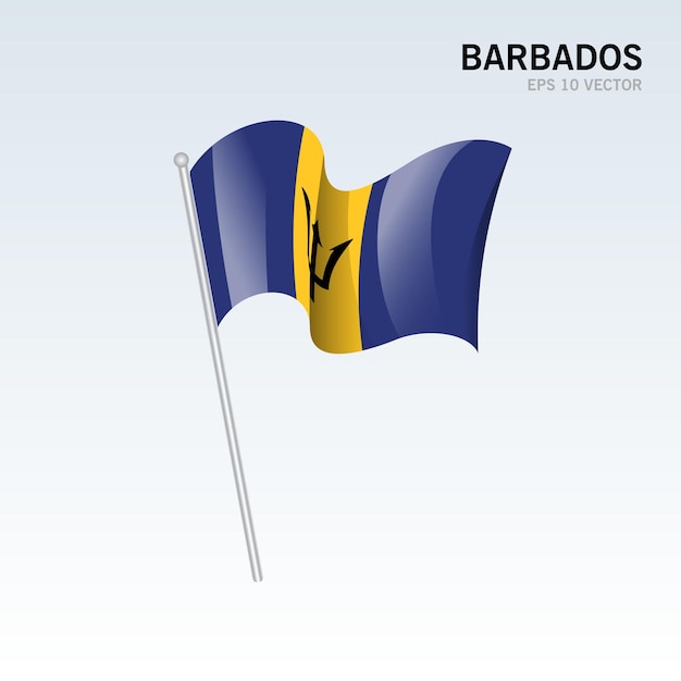 회색에 고립 된 깃발을 흔들며 바베이도스