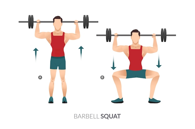 Barbell squat, men gym workout fitness, aerobic and exercises.