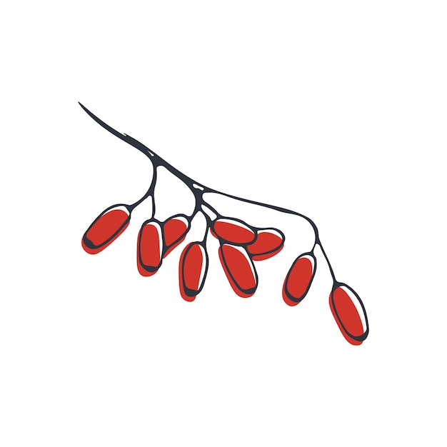 barberry tree branch flat illustration