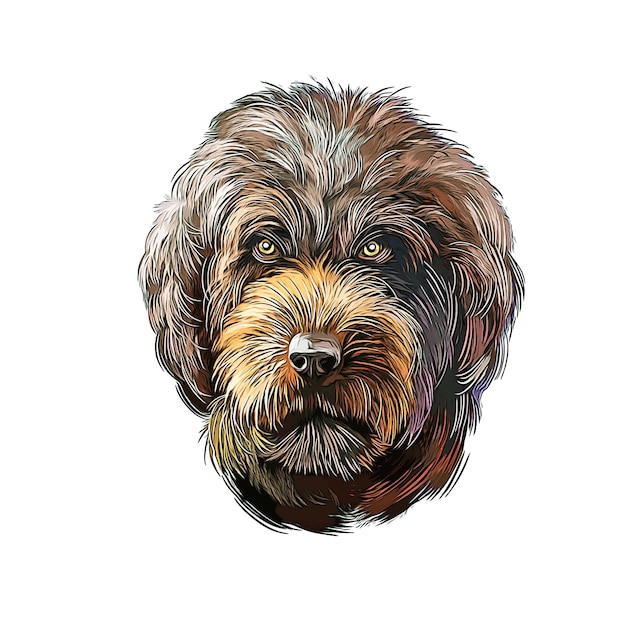 Barbet hond aquarel schets hand getekende illustratie