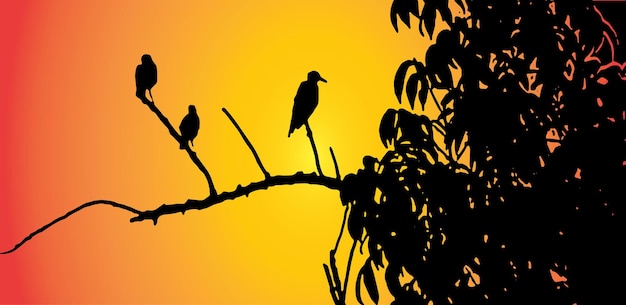 bard on tree branch black color isolated sunset background