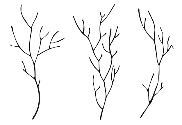 Vector bare tree branch silhouettes vector black branches without leaves