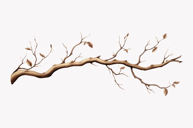 Vector bare tree branch with leaves