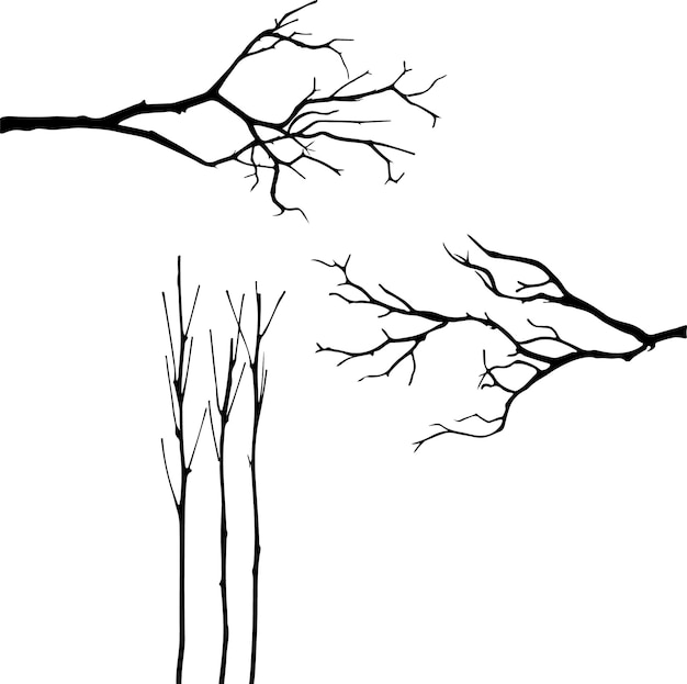 bare tree branches wood silhouette