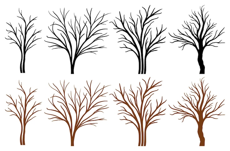 Vector bare trees silhouettes collection trees vector tree trunk line drawing dried tree black tree branch