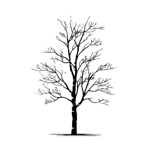 Bare Winter Tree Silhouette