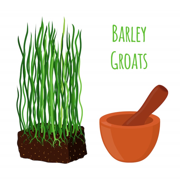 Barley grass, wheat with mortar, pestle