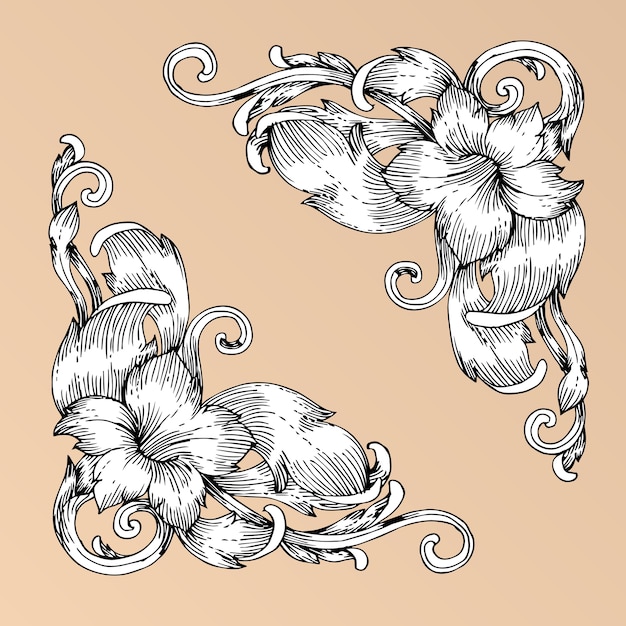 Vector baroque style hand drawing frame scroll