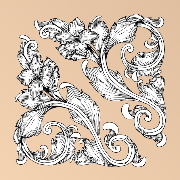 Vector baroque style hand drawing frame scroll