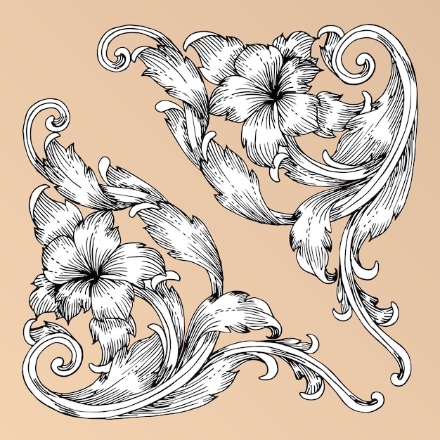 Vector baroque style hand drawing frame scroll