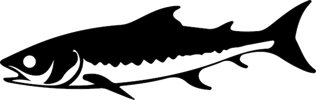 barracuda silhouette