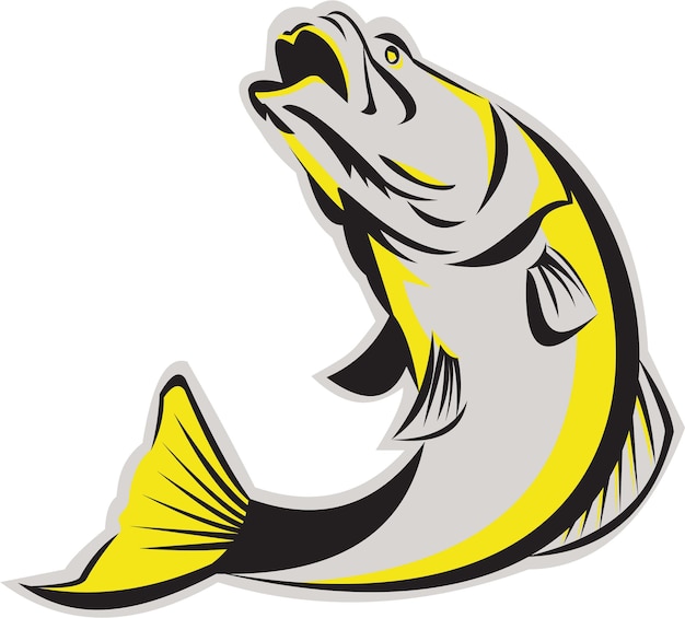 Vector barramundi fish jumping up isolated retro