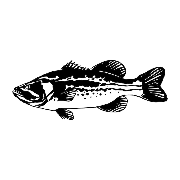 Bas vis lijntekening stijl op witte achtergrond Ontwerpelement voor pictogram logo label embleem teken