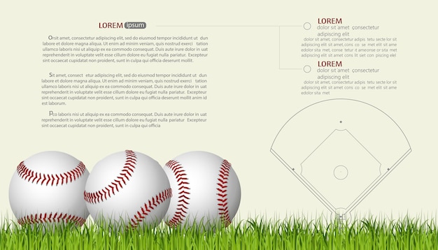 Vettore modello dell'insegna di baseball, palla da gioco con ombra e cucitura rossa, palle da baseball su un'erba di campo verde. vettore