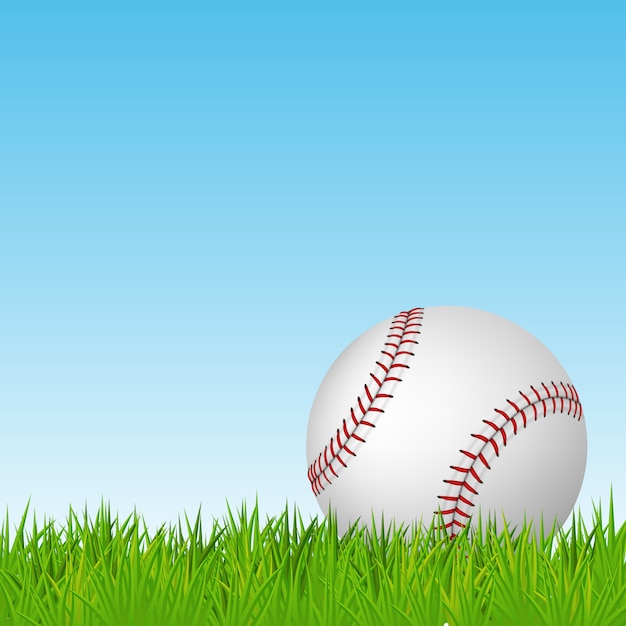 Baseball on green grass.  illustration.