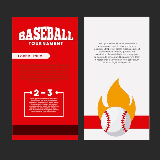 Vector baseball sport brochure