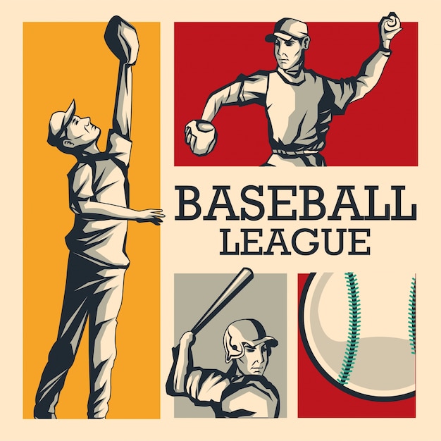 Vector baseball sport