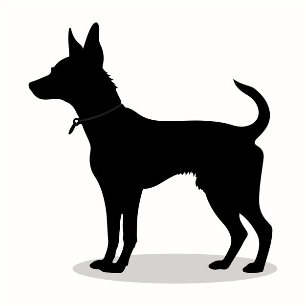 Basenji black silhouettes and icons white background animal vector and illustration