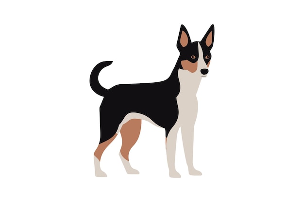 Vector basenji dog icon