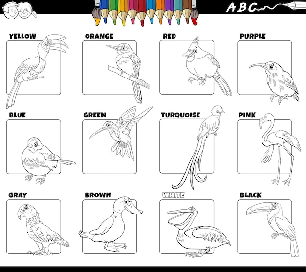 Vector basic colors with birds animal characters set coloring page