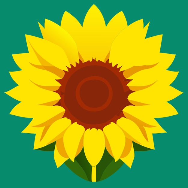 basic sunflower vector illustration