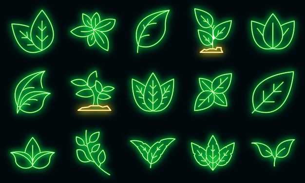 Basil icons set. Outline set of basil vector icons neon color on black