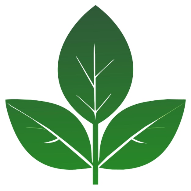 basil leaf icon