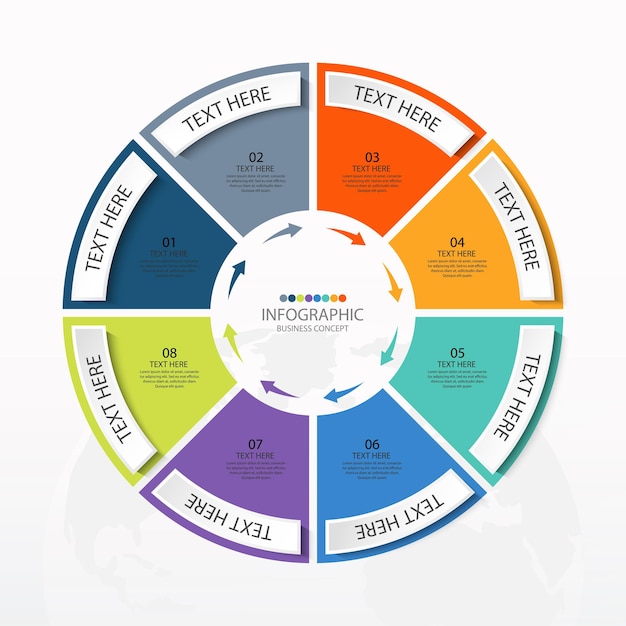 Basiscirkel infographic sjabloon met 8 stappen, proces of opties, procesgrafiek, gebruikt voor procesdiagram, presentaties, werkstroomlay-out, stroomschema, infograph. Vectorillustratie eps10.