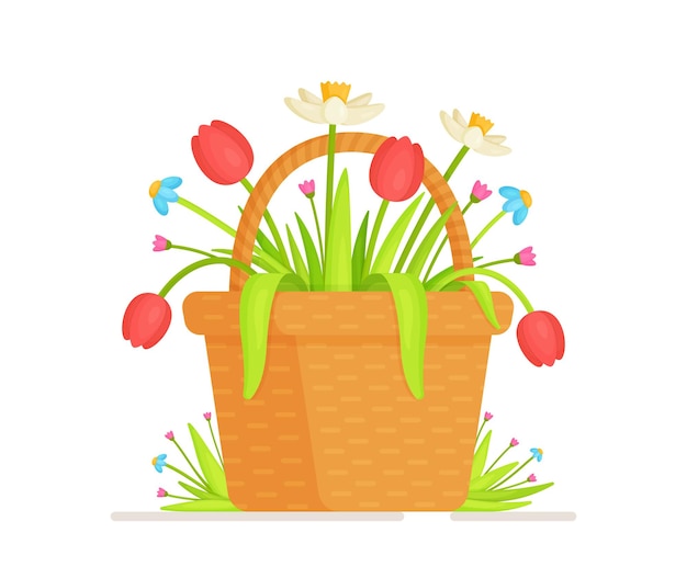 Basket of flowers.   illustration of a small basket with tulips and daffodils. Collecting a flower from a flower meadow.