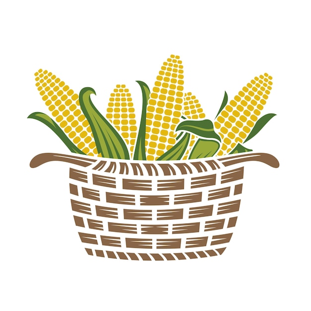 basket with corn cobs