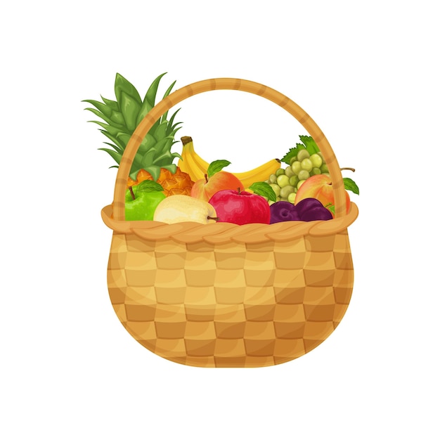 Basket with fruits such as banana pineapple grapes peach and also apple pear and plum Fruit basket Fruit in a wicker basket Vector illustration isolated on a white background