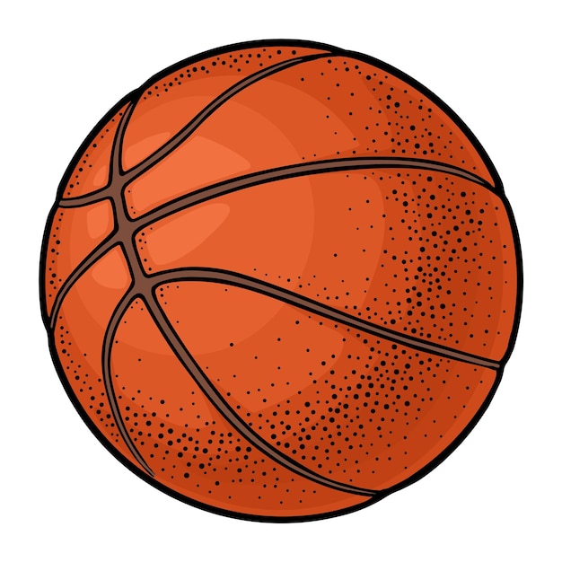 Basketball ball Vector color engraving illustration Isolated on white background Hand drawn design element for label and poster