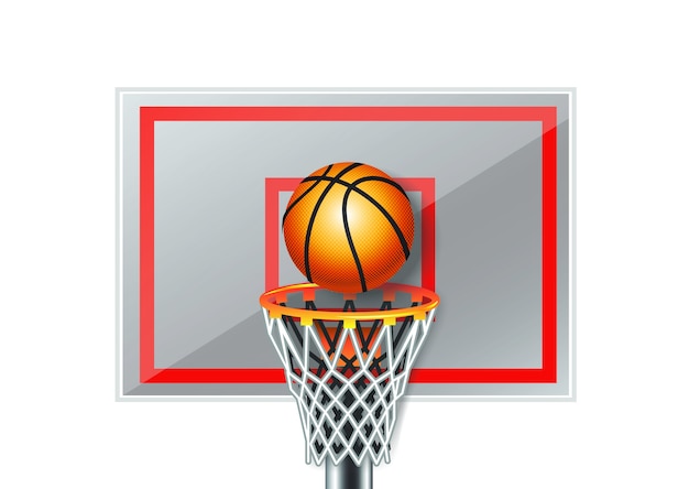 basketball  white board-vector design