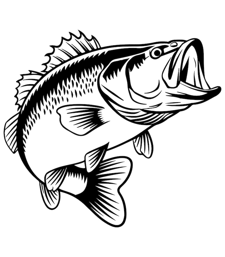 Bass fish coloring page