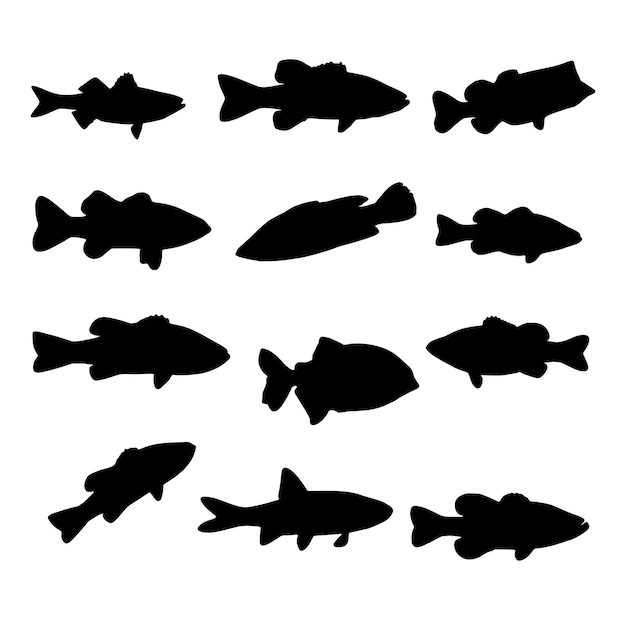 bass fish silhouette vector