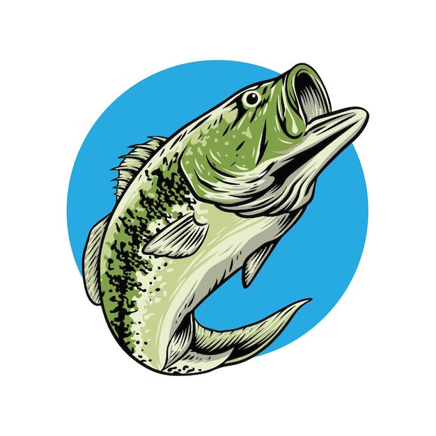 Bass fish vector art