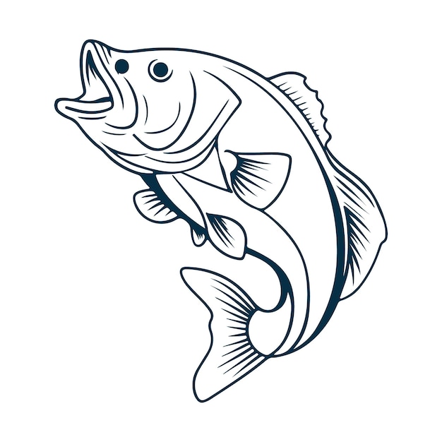 Vector bass fish vector illustration sketch of largemouth perch fish