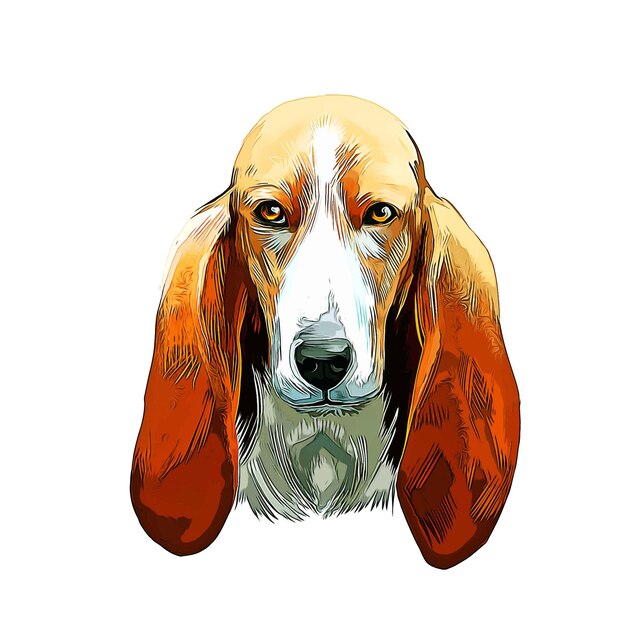 Basset Artesien Normand hondenras aquarel schets Hand getekende verf illustratie