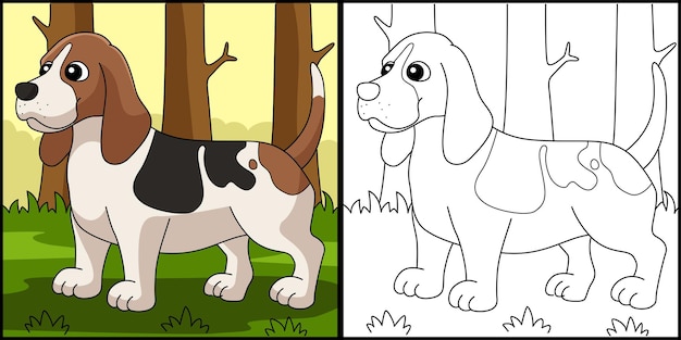 Вектор Иллюстрация страницы раскраски собаки бассет-хаунда