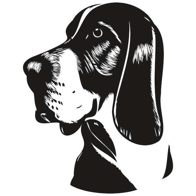 바셋 하운드 개 로고 손으로 그린 라인 아트 벡터 드로잉 흑백 애완 동물 그림